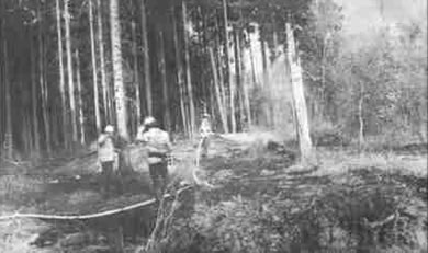 Wald brannte zwischen Weickartshain und Lauter Feuerwehren aus Grünberg, Laubach, Weickartshain und Lauter hatten das Feuer schnell unter Kontrolle - Brandstiftung möglich